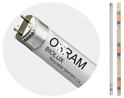 OSRAM Biolux T8 (L36/72-965) - Świetlówka dzienna 6500K poprawiająca samopoczucie zwierząt akwariowych