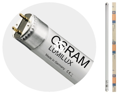 OSRAM Lumilux T8 (L58/11-865) - Świetlówka dzienna 6500K o wysokim strumieniu świetlnym