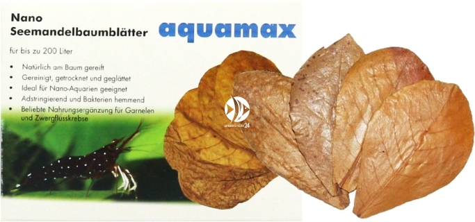 AQUAMAX Nano-Seemandelbaumblätter (008) - Liście migdałecznika morskiego Nano, 10 sztuk