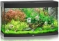 JUWEL Vision 180 LED (09350) - Akwarium z pełnym wyposażeniem bez szafki, 3 kolory do wyboru Czarny