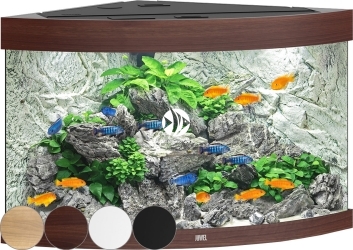 JUWEL Trigon 190 LED (16350) - Akwarium z pełnym wyposażeniem bez szafki, 3 kolory do wyboru