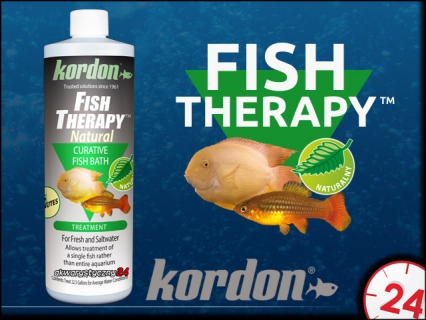 KORDON FISH THERAPY (32656)
