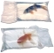 KORDON Breathing Bag (50201) - Worek oddychający do transportu ryb