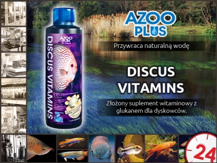 AZOO Discus Vitamins - Złożony suplement witaminowy z glukanem dla dyskowców.