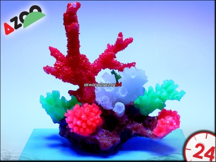 AZOO Glowlight Coral (M) Red (AZ27106)