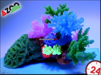AZOO Glowlight Coral (L) Blue (AZ27104)