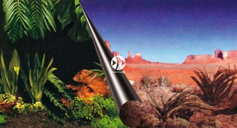 AQUA DELLA Tło dwustronne Jungle + Desert (241-109076) - Fototapeta do przyklejenia na tylną szybę akwarium lub terrarium