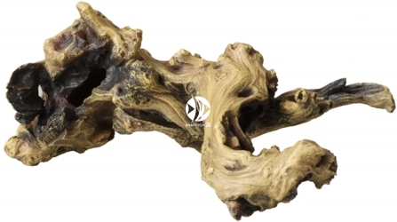 AQUA DELLA Mopani Wood 1 (234-421109) - Sztuczny korzeń mopani do akwarium