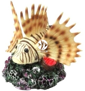 AQUA DELLA Coral Fish (234-418673) - Ręcznie malowana ryba koralowa o wymiarach 10,5x11,5x10,5cm