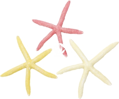 AQUA DELLA Starfish S 1 szt (234-418918) - Ręcznie malowana rozgwiazda do akwarium