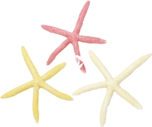 AQUA DELLA Starfish L 1 szt (234-418925) - Ręcznie malowana rozgwiazda do akwarium