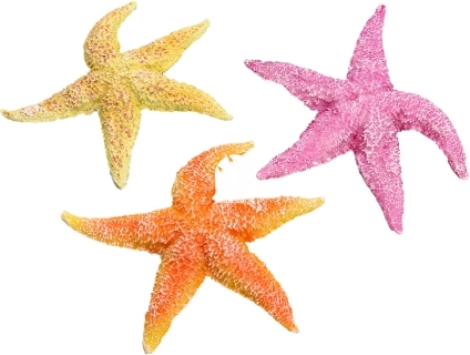 AQUA DELLA Real Sea Star 1szt (234-421000) - Ręcznie malowana gwiazda morska, rozgwiazda do akwarium