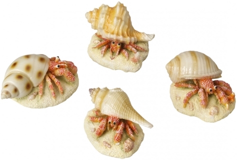 AQUA DELLA Hermit Crab 1szt (234-421017) - Ręcznie malowany krab pustelnik do akwarium