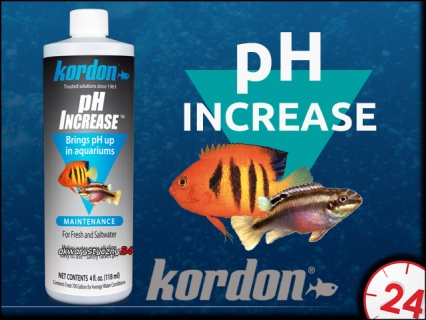KORDON pH INCREASE (35316) - Preparat do podwyższania odczynu pH