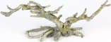 AQUA DELLA (Uszkodzona) Bonsai Grey (without leaves) - Ręcznie malowany korzeń bonsai bez liści, szary (35,5x10x17,5cm)
