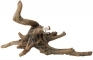 AQUA DELLA Driftwood 3 (234-421666) - Ręcznie malowany, sztuczny korzeń do akwarium