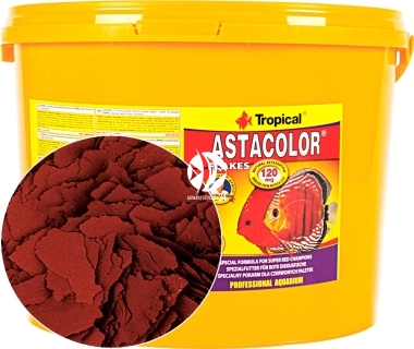 TROPICAL Astacolor - Intensywnie wybarwiający pokarm płatkowany dla paletek