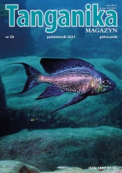 Tanganika Magazyn (Uszkodzony) Magazyn nr. 29 - Półrocznik o biotopie Tanganika.