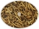 Larwa mącznika suszona - Pokarm naturalny dla ryb, żółwi, gadów i ptaków. 1000g