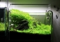 CHIHIROS Crystal LED (329-1201) - Oświetlenie dla akwarium słodkowodnego i roślin wodnych.