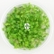 IN-VITRO Glossostigma Elatinoides - Trawnik, roślina trawnikowa, zielona, łatwa w uprawie