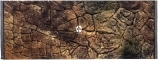 Tło Płaskie (PL50x30) - Tło strukturalne do akwarium z motywem skalnym