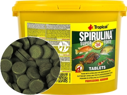 TROPICAL Spirulina Super Forte Tablets - Roślinny pokarm w formie samoprzylepnych tabletek z wysoką zawartością spiruliny (36%)