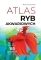 Atlas Ryb Akwariowych - Maja Prusińska - 150 gatunków ryb ze zdjęciami