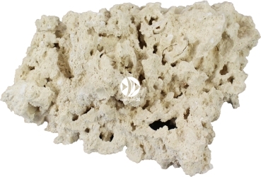 Skała Koralowa Cięta 1kg (MRSKC) - Naturalna, sucha skała do akwarium rafowego, morskiego i słodkowodnego.