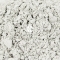 BENIBACHI SP Max-H 30g (e9BENISPMH30) - Preparat wzmacniający biały kolor u krewetek.