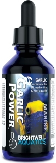 BRIGHTWELL AQUATICS Garlic Power (GAR60) - Koncentrat czosnku do akwariów morskich z obsadą rybną oraz akwariów rafowych.