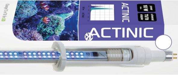 AQUAEL Leddy Tube Retrofit Actinic (114577) - Świetlówka LED do pokryw akwariowych, dobra dla koralowców