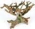 AQUA DELLA Bonsai Brown (234-423523) - Ręcznie malowany korzeń bonsai bez liści, pień z koroną (22x19x20,5cm)