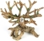 AQUA DELLA Bonsai Brown (234-423523) - Ręcznie malowany korzeń bonsai bez liści, pień z koroną (22x19x20,5cm)