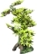 AQUA DELLA Bonsai Medio Sort B (234-420911) - Ręcznie malowane drzewo Bonsai z liśćmi do akwarium