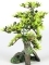 AQUA DELLA Bonsai Medio Sort B (234-420911) - Ręcznie malowane drzewo Bonsai z liśćmi do akwarium