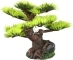 AQUA DELLA Bonsai Mini Sort B (234-420874) - Ręcznie malowane drzewo bonsai z igiełkami do akwarium 9,5cm