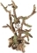 AQUA DELLA Bonsai Brown (without leaves) (234-424094) - Ręcznie malowany korzeń bonsai bez liści, rozgałęziony (25,5x10x24cm)