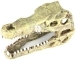 AQUA DELLA Crocodile Head M (234-426517) - Ręcznie malowana czaszka krokodyla o wymiarach 9,5x9,5x10,5cm