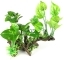 AQUA DELLA FloraScape 3 XL (234-432075) - Sztuczny korzeń z roślinami do akwarium