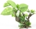 AQUA DELLA FloraScape 5 XL (234-432099) - Sztuczny korzeń z roślinami do akwarium