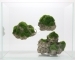 AQUA DELLA Moss Rock 2 (234-431573) - Sztuczna skała z mchem, stojąca do akwarium