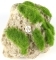 AQUA DELLA Moss Stone (234-430163) - Sztuczna skała z mchem, wisząca wraz z przyssawkami do akwarium