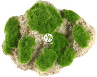 AQUA DELLA Moss Stone (234-430163) - Sztuczna skała z mchem, wisząca wraz z przyssawkami do akwarium