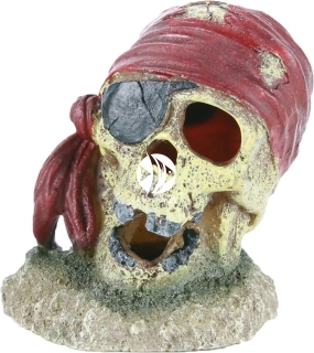 AQUA DELLA Pirate Skull Eyepatch (234-430071) - Ozdoba ukazująca czaszkę pirata z czerwoną bandaną do akwarium [wymiary - 7x7x8cm]