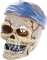 AQUA DELLA Pirate Skull Head-Crack (234-430101) - Dekoracja, czaszka pirata z niebieską przepaską do akwarium