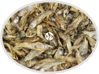 Stynka suszona - Naturalny pokarm dla dużych ryb mięsożernych, drapieżnych, piranii i żółwi.