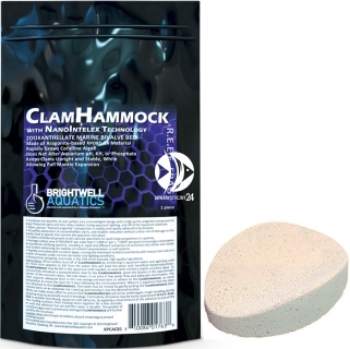 BRIGHTWELL AQUATICS Clam Hammock (XPCACB1) - 3.00 x 2.25 cala, ceramiczna podstawka pod koralowce