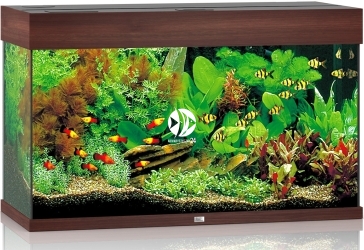 JUWEL Rio 125 LED (01350) - Akwarium z pełnym wyposażeniem bez szafki, 5 kolorów do wyboru Ciemne drewno