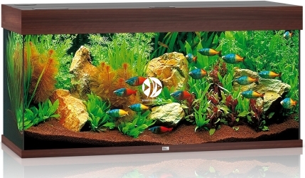 JUWEL Rio 180 LED (04350) - Akwarium z pełnym wyposażeniem bez szafki, 5 kolorów do wyboru Ciemne drewno